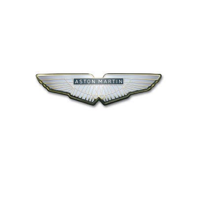 Custom aston martin logo iron on transfers (Decal Sticker) No.100125